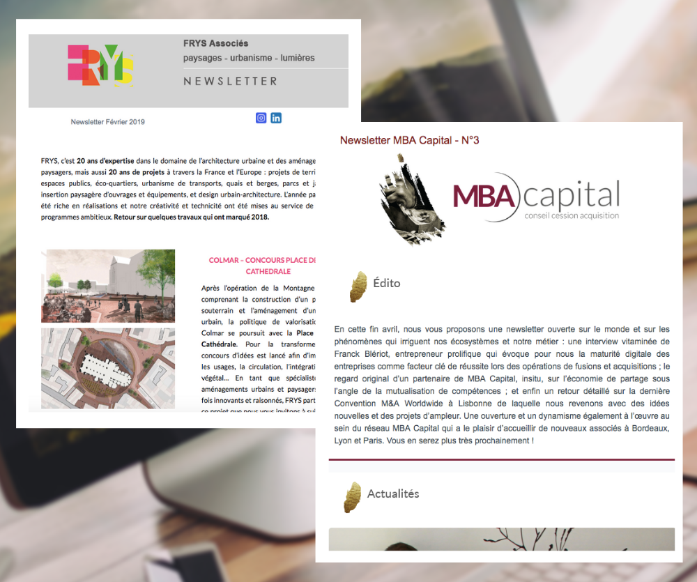 newsletter-frys-mba-capital-content-marketing-ciliabule